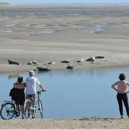 Vue Mer Panoramique Berck